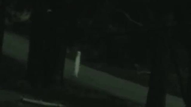 Strange Alien in Yosemite National Park (USA, California, 28.03.2011) смотреть онлайн