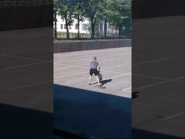 В Костроме упитанная свинка пришла худеть в фитнес-клуб смотреть онлайн