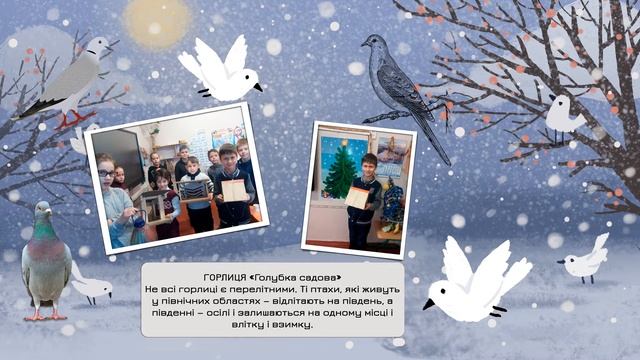 Осілі зимуючі птахи Донецької області смотреть онлайн