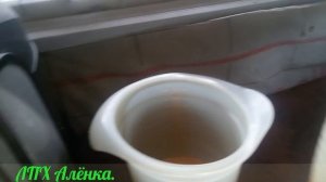 Как научися доить козу./Для новичков,тех кто решился взять козу./ How to learn to milk a goat.