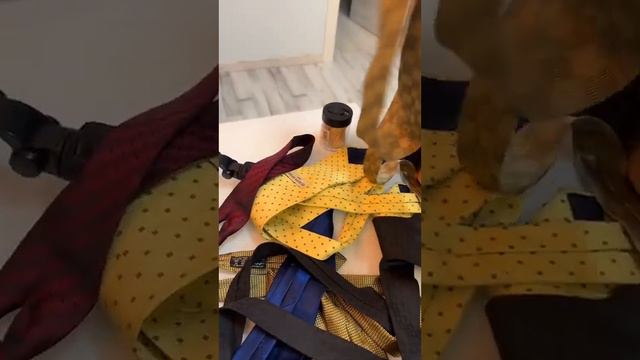 Выбираем галстуки. А вам какие понравились? смотреть онлайн