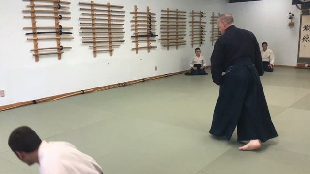 Aikido: Kokyu Nage (Arm Torque) смотреть онлайн