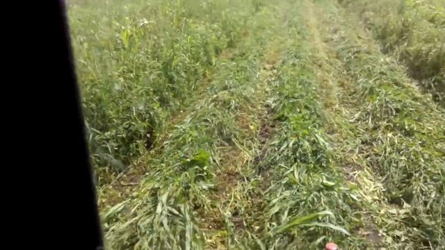 КОСИМ СУДАНКУ ТРАКТОРОМ Т-25/KOSIM SUDANK BY TRACTOR T-25