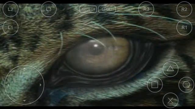 Let's Play Emu (Tekken 3) INTRO (Playstation 1) FPse Emulator смотреть онлайн