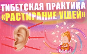 Тибетская практика "Растирание ушей" | ЛФК упражнения