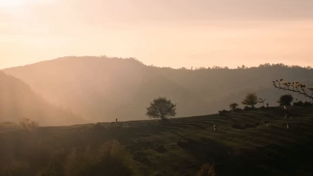 ОШО. Уйти в Неизвестность смотреть онлайн