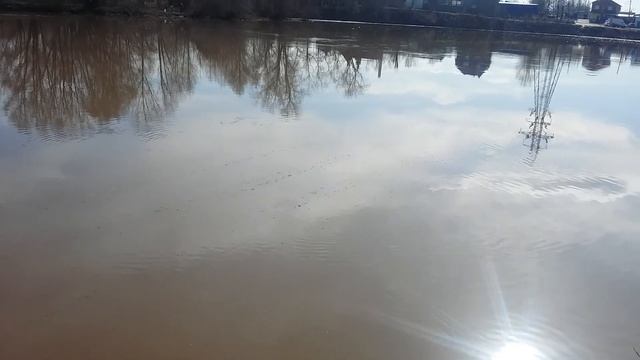 Поплавок для течения своими руками.