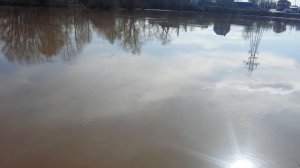 Поплавок для течения своими руками.