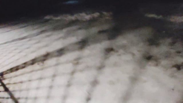 Щенку Волчану три месяца смотреть онлайн