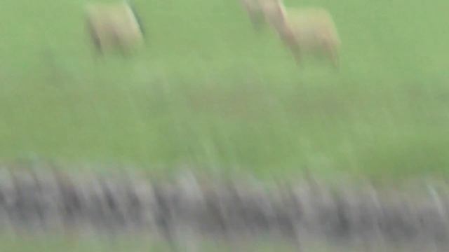 Test Video: Panasonic HC-X810 (Cloudy Daylight) 1080p Full HD Camcorder / 3MOS Leica Dicomar O.I.S. смотреть онлайн