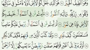 Сура Мульк -Таборак  Ясир ад-Даусари   #islam #quran #tilawat #tajweed