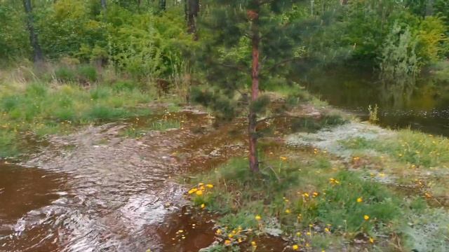 Затопило парк в кызыле смотреть онлайн