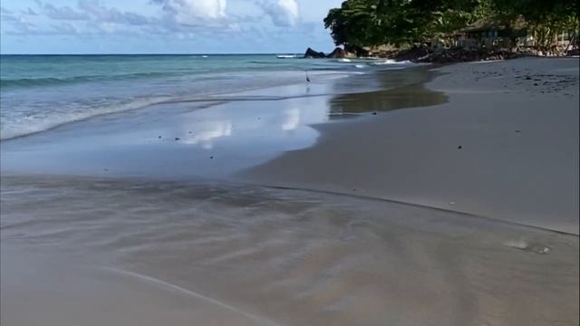 Контрастные Композиции