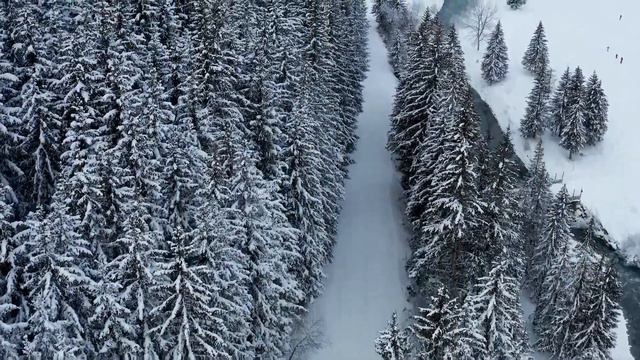 ЛЮБОВЬ уставших лебедей (cover) смотреть онлайн