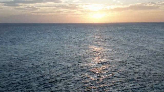 Lions Dive Resort | Scuba Resort and SO MUCH MORE! смотреть онлайн