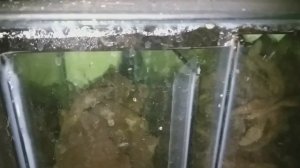 Мой самодельный простой Самп для аквариума. Или что такое самп ?..