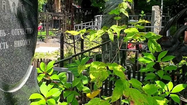 Введенское кладбище. Могилы, которые сама бы не искала... смотреть онлайн