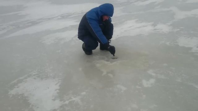 Волга Волгореченск Рыбалка смотреть онлайн