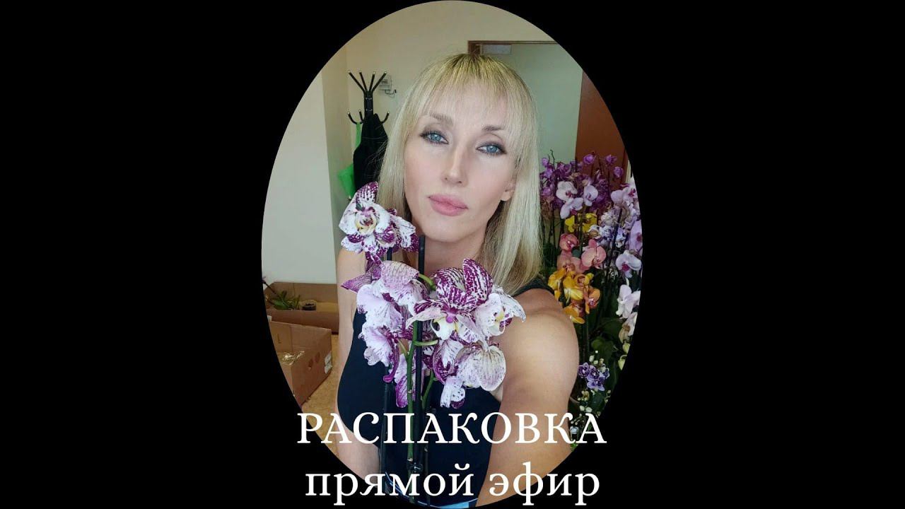 Про Орхидеи в прямом эфире! смотреть онлайн