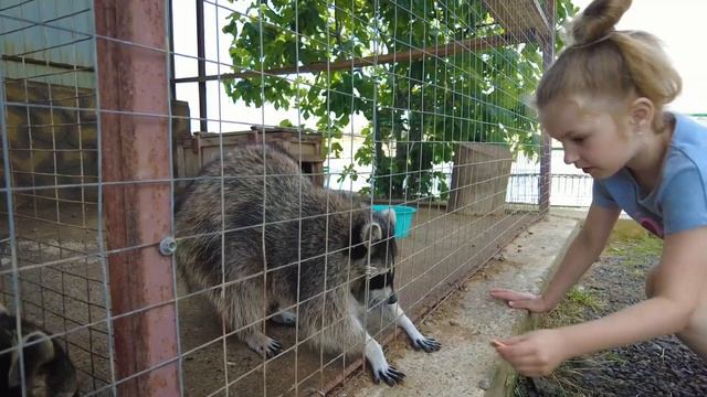 Азовское море. Вдоль побережья, п.Кучугуры - п. "За Родину". смотреть онлайн