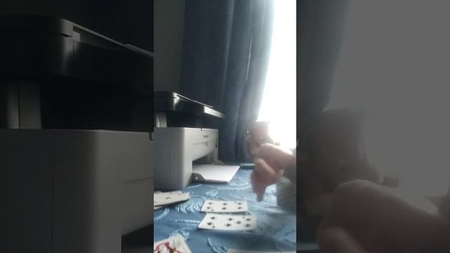 Король Пик - Дама Буби! смотреть онлайн