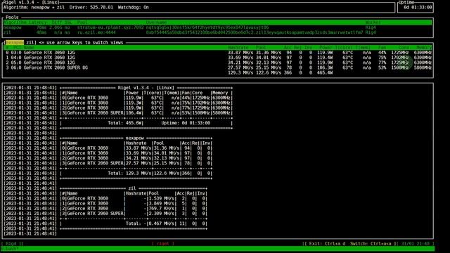 Майнинг NEXA+ZIL на Rigel Miner в Windows и Hive OS