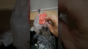 Кофр на мопед Alpha.