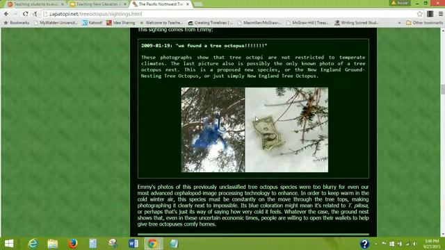 Evaluating a website- 21st century literacy skill смотреть онлайн