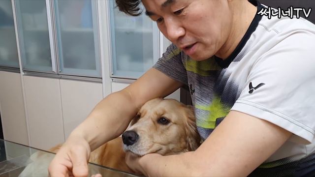 50대 전원생활| 고양이 있는 집의 크리스마스| 시골 전원주택 크리스마스 태피스트리| 전원생활 브이로그|써니네TV смотреть онлайн