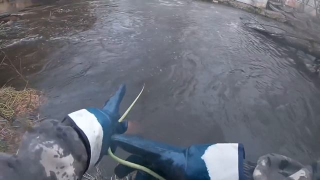 На Пехорке все Спокойно пока у Фартового есть Поисковый магнит, нашли Криминал смотреть онлайн