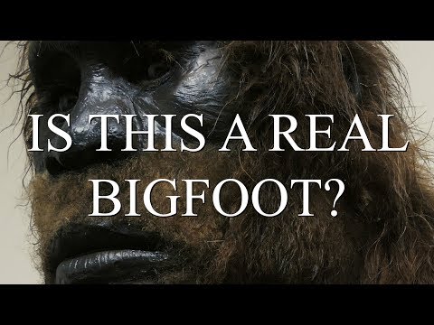 IS THIS A REAL BIGFOOT?