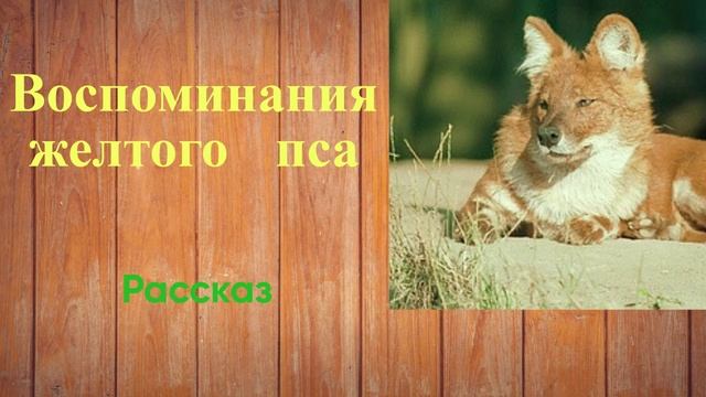 Воспоминания желтого пса - новелла О. Генри. смотреть онлайн