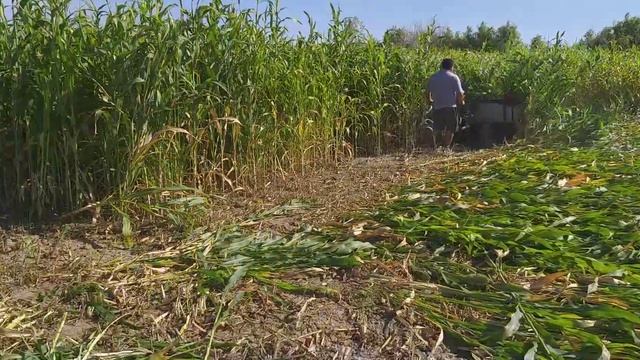 макка ýрим смотреть онлайн