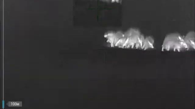 Ночная охота с тепловизором IWT на кабана смотреть онлайн