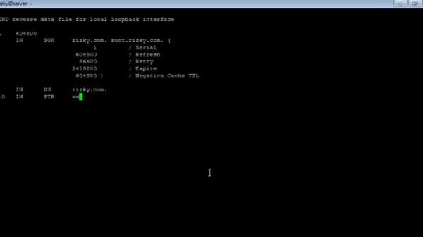 Install and Configuration DNS Debian Server