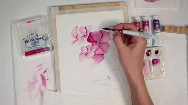 Тематический мини-набор акварели «Белые ночи»! - «Палитра хинакридонов» смотреть онлайн