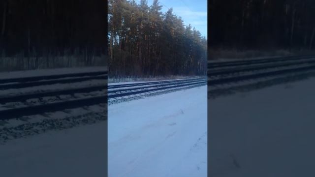 Забытые могилы.ЮВЖД.Усманский район. смотреть онлайн