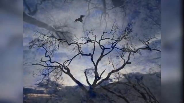 Душа как скрипка /Татьяна Снежина. Запись 2009 г./ смотреть онлайн