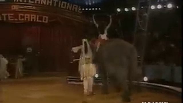 20° Festival Du Cirque De MonteCarlo (1996)  Elefanti, Davio Casartelli (MEDRANO).mp4