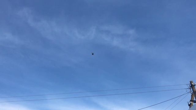 Голуби, элитная порода, николаевские торцовые смотреть онлайн