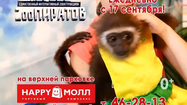 ЗОО ПИРАТЫ смотреть онлайн
