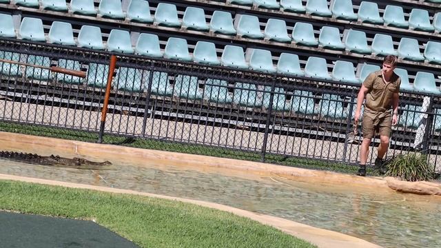 Robert Irwin Pranks Audience (Australia Zoo Crocoseum) смотреть онлайн