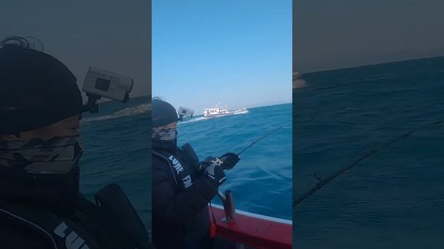 Мощная раздача Лакедры, рыбалка на Желтохвоста. смотреть онлайн