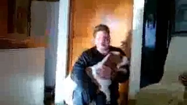 bassett hound lost and found смотреть онлайн