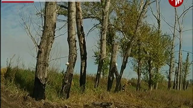 Время местное - Необходим пожарный проезд смотреть онлайн