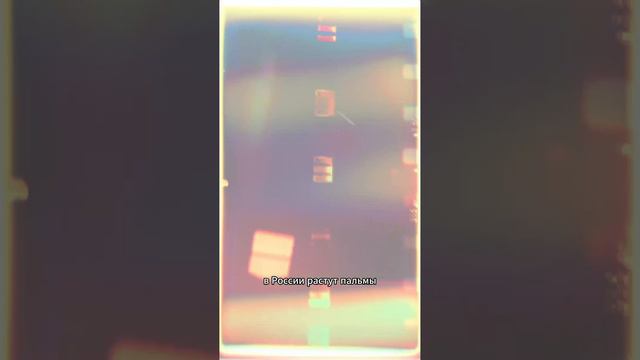 Почему Сочи на первом месте? смотреть онлайн