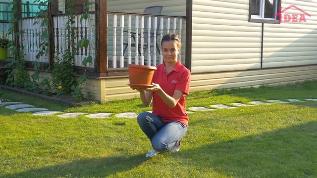 Кашпо ЛИВИЯ с подставкой IDEA смотреть онлайн