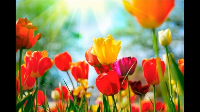 Медитация - как получить желаемое через энергию Безусловной Любви смотреть онлайн