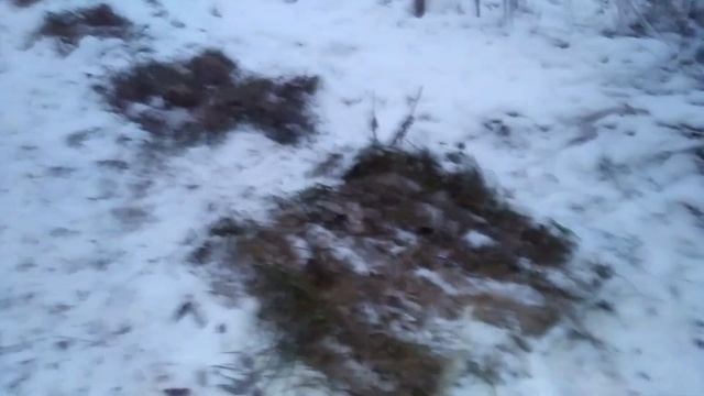 Пчеловодство - Убрал пчёл в зимовник смотреть онлайн