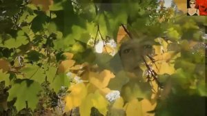 Геннадий Тимофеев..Осенняя женщина .